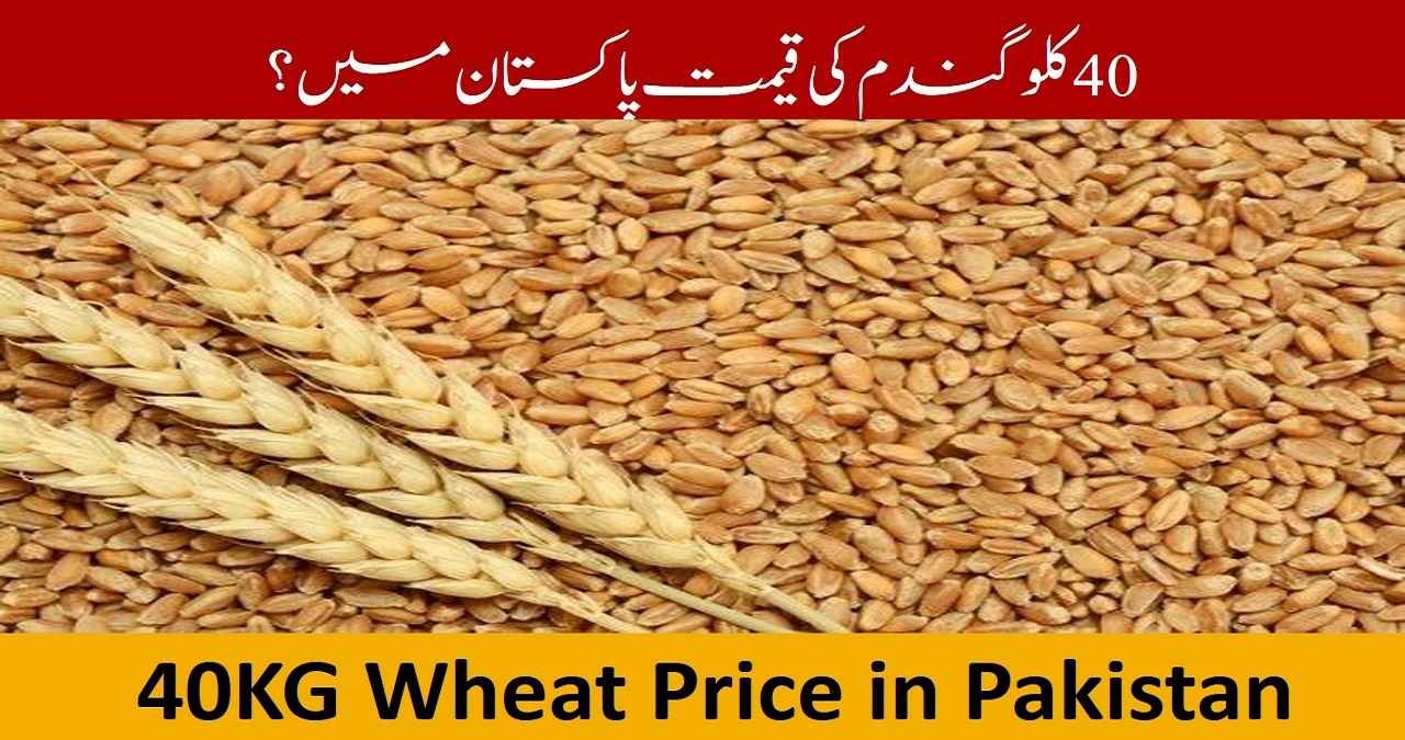 Wheat price in pakistan 2025